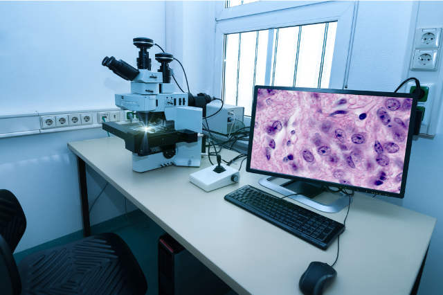 Histopathology Lab Near Me